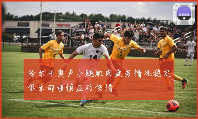恰尔汗奥卢小腿肌肉疲劳情况稳定俱乐部谨慎应对伤情